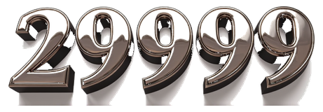 29999 logo